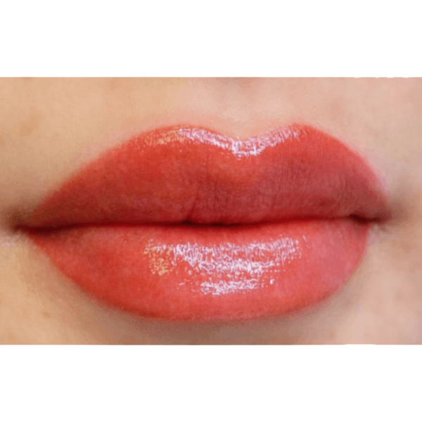 Natural lip blush tattoo result in Edmonton with soft pink glossy finish by Renee Beaute